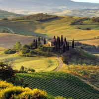 Paysage de Toscane - Italie