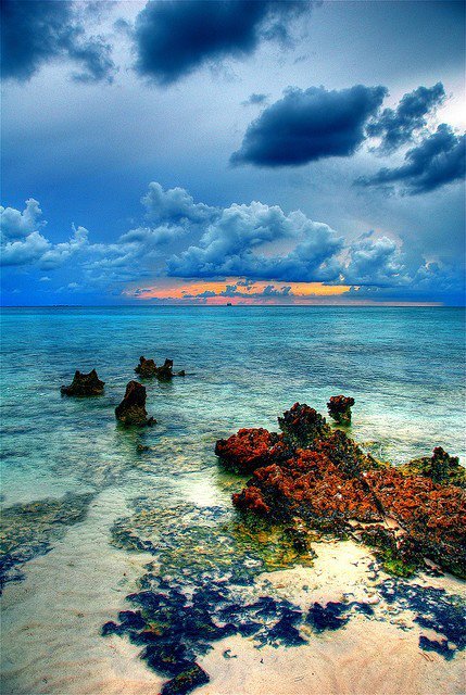 Îles Caïmans - Caraïbes