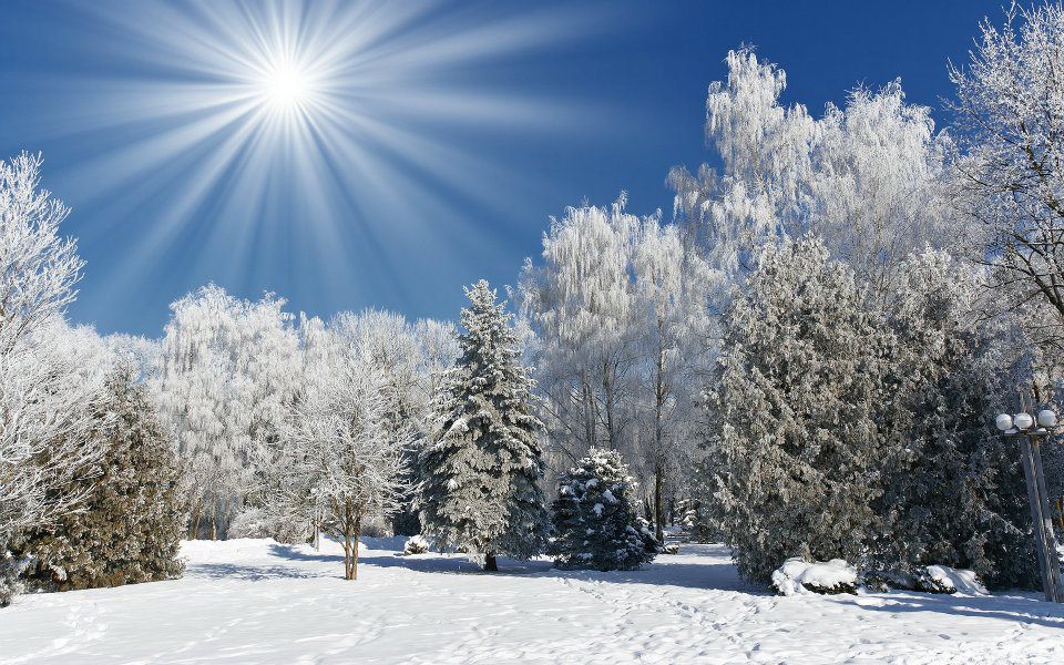 Paesaggio di neve