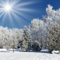 Paesaggio di neve