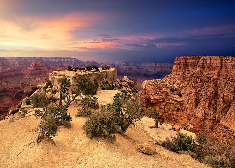 Désert de Wadi Rum - Jordanie