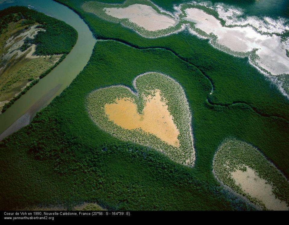 Mangrove, le Coeur de Voh - Nouvelle-Calédonie