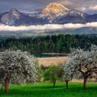 Parc National des Great Smoky Mountains - Caroline du Nord