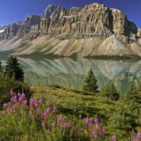 Parc National de Banff, lac Peyto - Canada