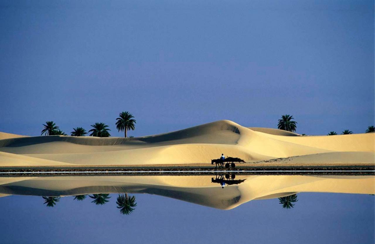 Oasi El Oued, Tamacine - Algeria