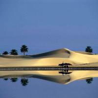 Oasis El Oued, Tamacine - Algérie