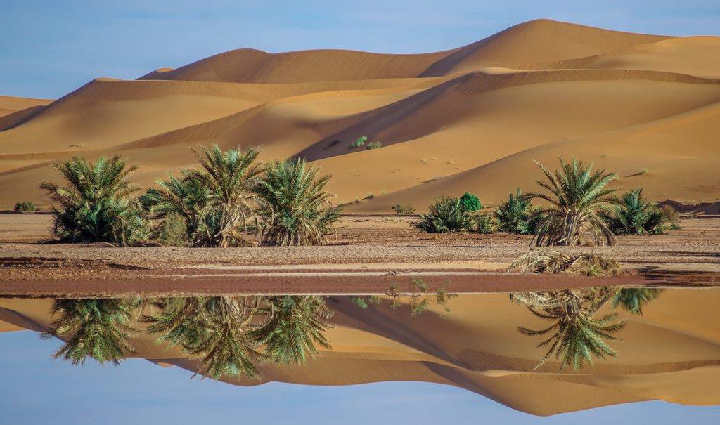 Oasi di Biskra - Algeria