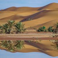 Oasi di Biskra - Algeria