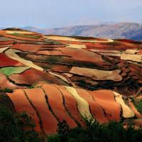 Campi colorati, Yunnan - Cina