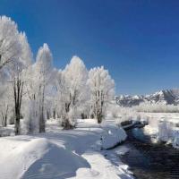 Paysage de neige