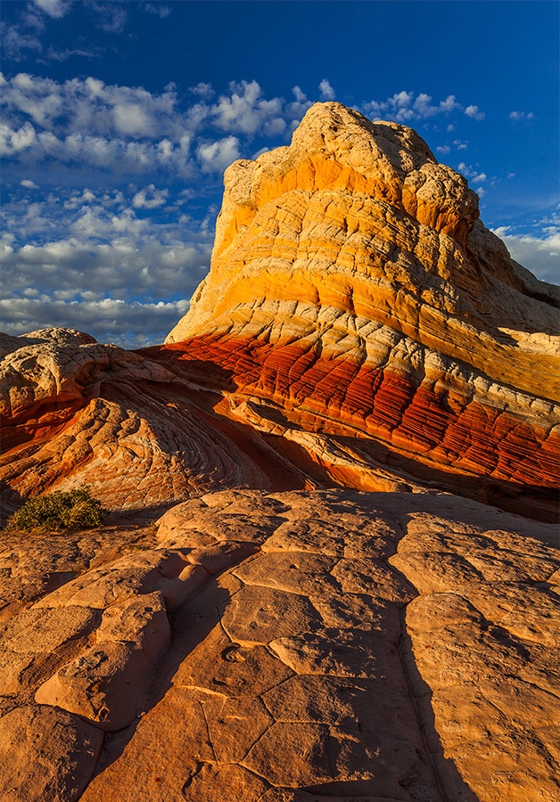Volute, White Pocket, Parc National de Vermillion Cliffs - Arizona