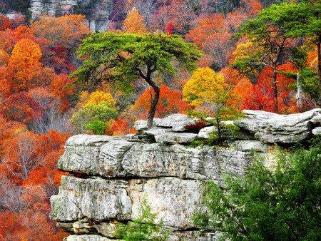 Paysage d'automne