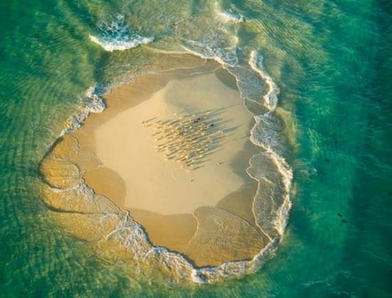 La Grande Barrière de Corail - Australie