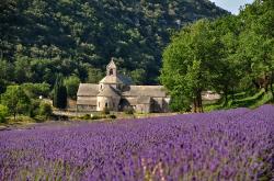 Abbaye de Sénanque, Gordes - France