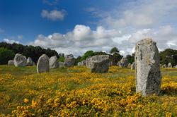 Alignements de Carnac, Bretagne - France