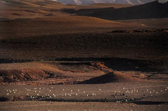 Désert de Zagora - Maroc