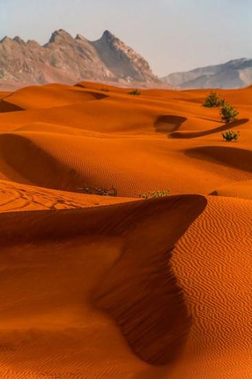 Désert, Dubai - Émirats Arabes Unis