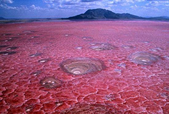 Lac Natron - Tanzanie