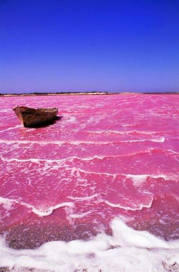 Le lac Retba - Senegal