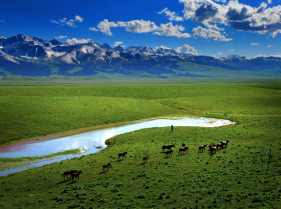 Mongolie