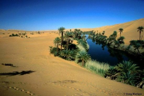 Oasis Errachidia - Maroc