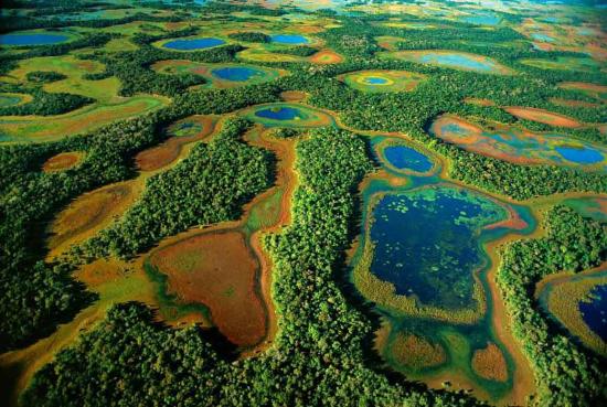 Pantanal - Brésil