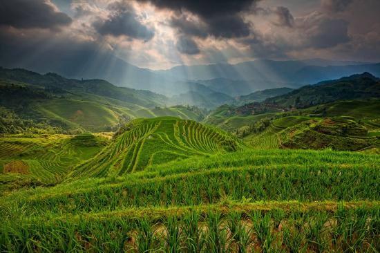 Rizières en terrasses de l’Échine du Dragon - Chine