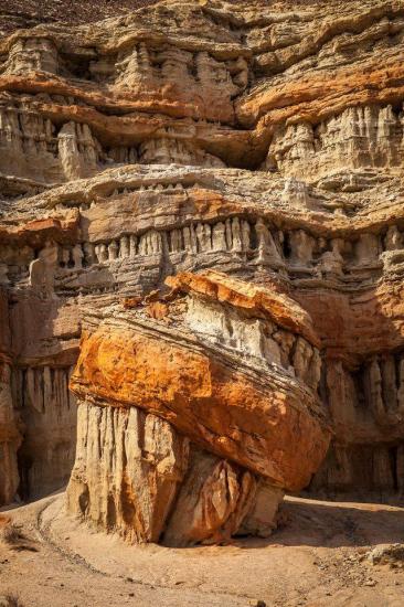 Toadstool, Redrock Canyon - Nevada