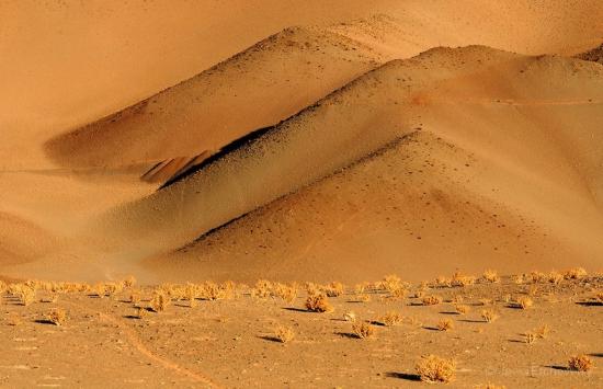 Tolar Grande - Argentine